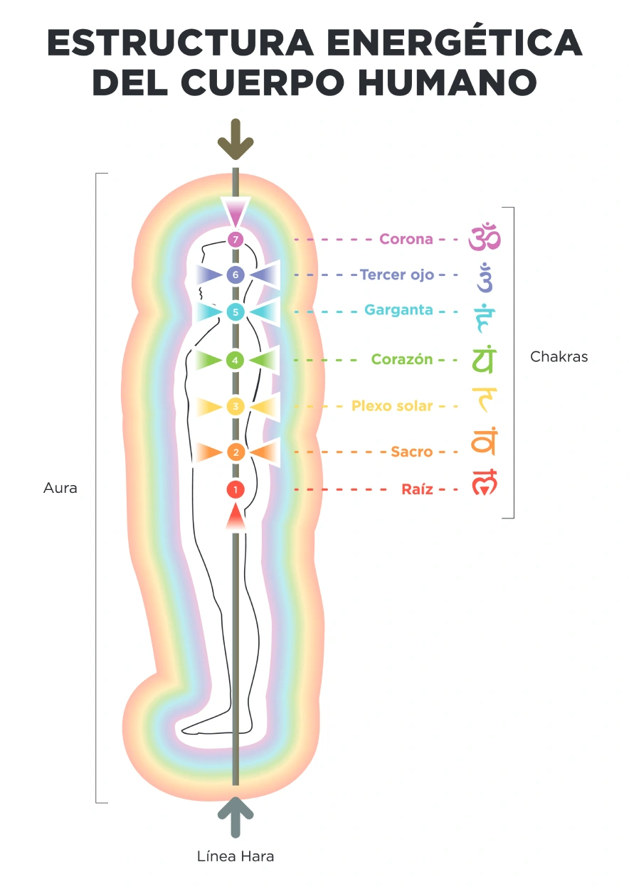 estructura-energética-cuerpo-humano